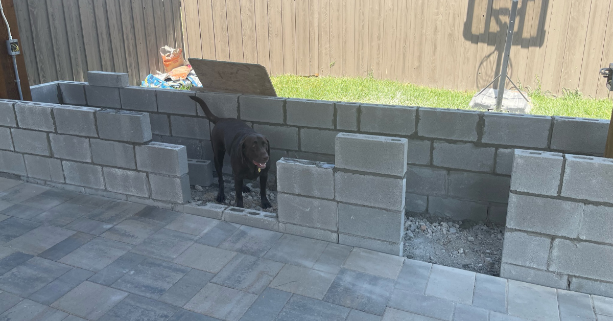 Picture of outdoor kitchen framework with cute dog - cinderblocks with cement.